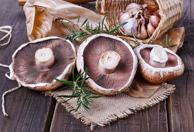 8 Voordelen van Portobello-paddenstoelen voor de gezondheid