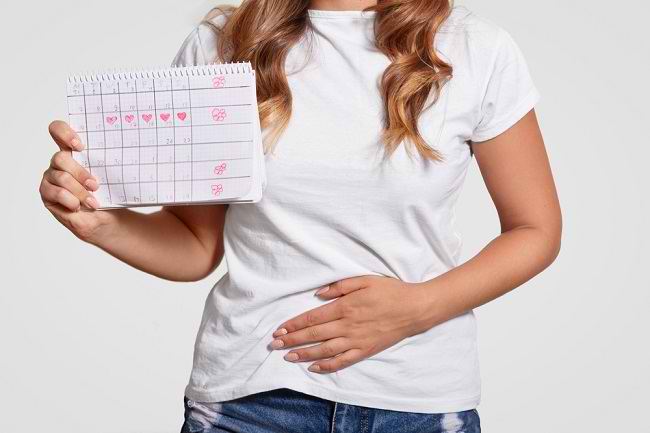 Egenskaperna hos livmoderhalsslem enligt menstruationscykeln
