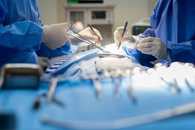 Lär dig stadierna i levertransplantationsproceduren