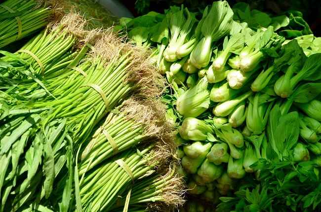 Varios beneficios de las verduras verdes para la salud
